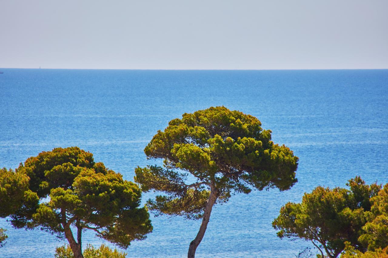 Petit Hotel Ses Rotges - Only Adults Cala Ratjada  Zewnętrze zdjęcie